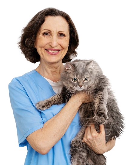 Veterinarian with cat