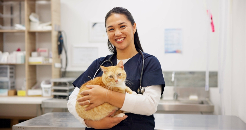 Become a veterinary hero background